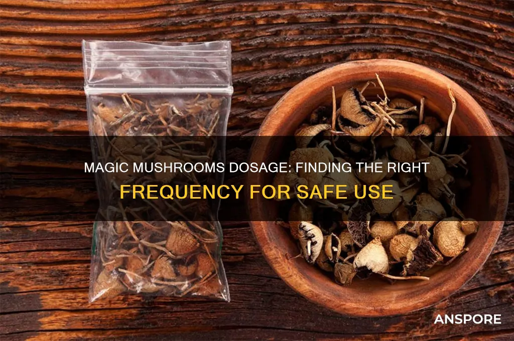 how often should i eat magic mushrooms