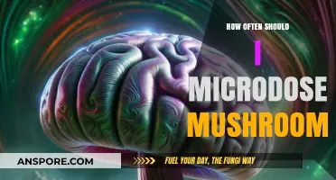 Microdosing Mushrooms: How Frequently Should You Take Them?