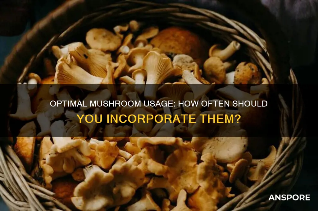 how often should i use mushrooms