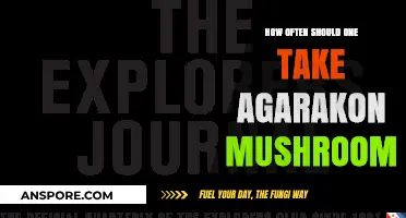 Agarikon Mushroom: Recommended Dosage Frequency