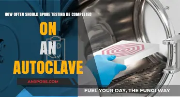 Optimal Autoclave Spore Testing Frequency for Reliable Sterilization Results