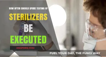 Optimal Spore Testing Frequency for Sterilizer Validation and Safety