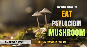 Optimal Frequency for Consuming Psilocybin Mushrooms: A Comprehensive Guide