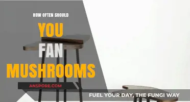 Frequent Fanning: The Secret to Mushroom Success