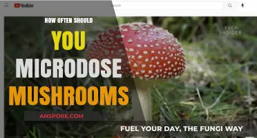 Optimal Microdosing Frequency: Finding Your Perfect Mushroom Rhythm