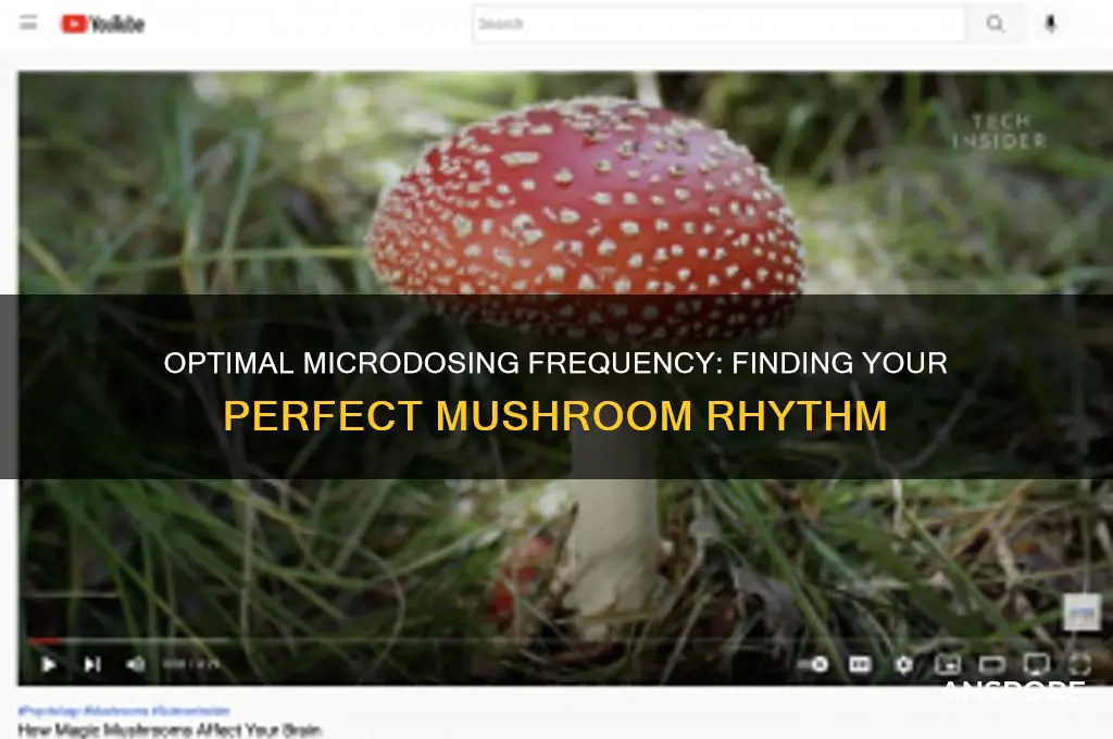 how often should you microdose mushrooms