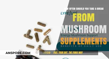 Mushroom Supplements: When to Take a Break