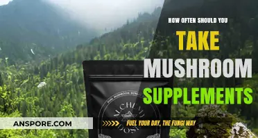 Mushroom Supplements: How Frequently Should You Take Them?