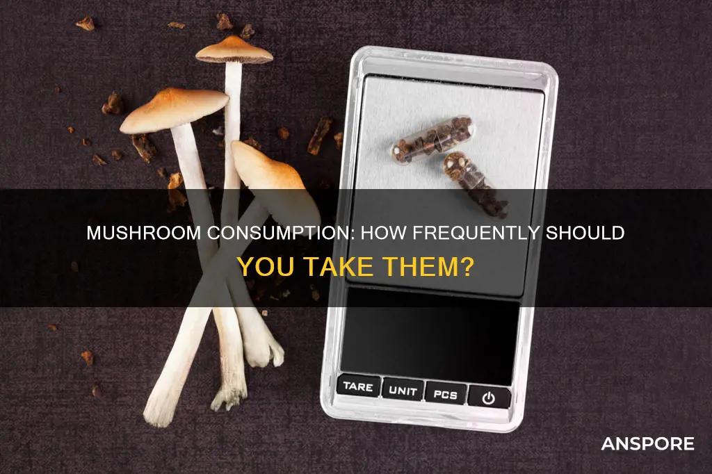 how often take mushrooms