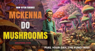 Terence McKenna's Lifetime of Mushroom Trips