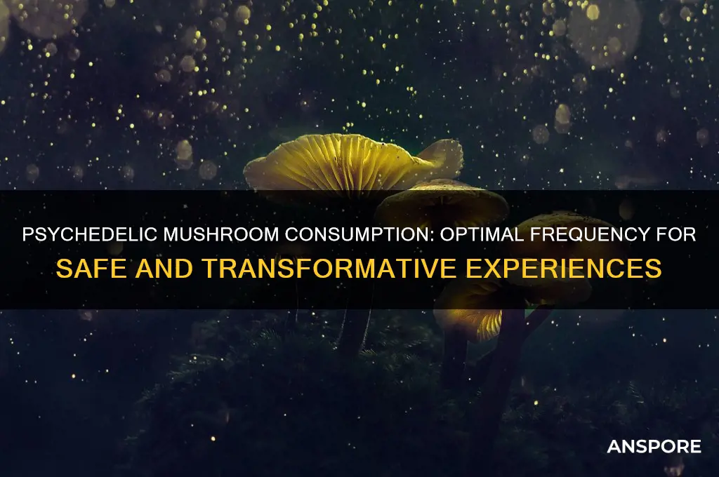 how often to eat psychedelic mushroom