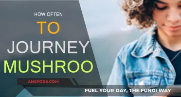 Journeying with Mushrooms: How Frequently Should You Explore?