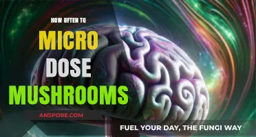 Microdosing Mushrooms: How Frequently Should You Take Them?