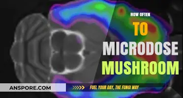 Microdosing Mushrooms: How Frequently Should You Take Them?