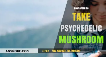 Psychedelic Mushroom Trips: Frequency and Responsible Usage