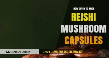 Reishi Mushroom Capsules: How Often Should You Take Them?