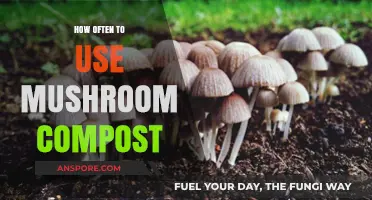Optimal Mushroom Compost Usage: Timing Tips for Healthy Garden Growth