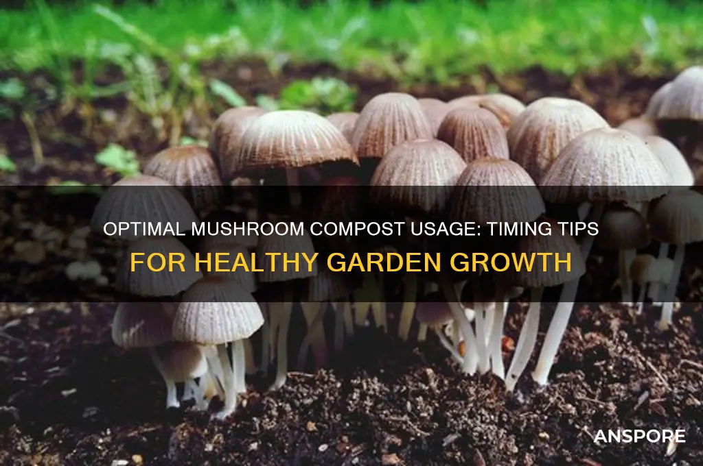 how often to use mushroom compost