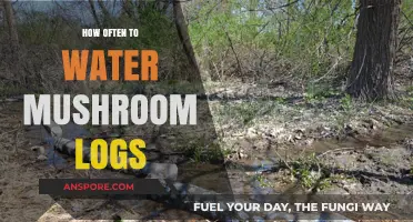 Watering Mushroom Logs: How Frequently Should You Do It?