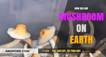 Mushrooms: Ancient Earth's Longevity Secrets