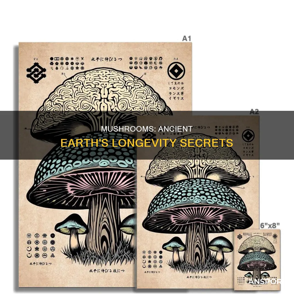 how old are mushrooms on earth