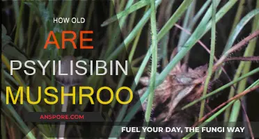 Psychedelic Mushrooms: Ancient History, Modern Interest