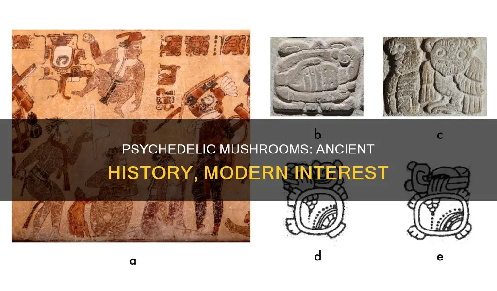 how old are psyilisibin mushrooms
