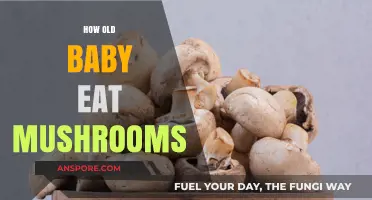 When Can Babies Safely Enjoy Mushrooms: A Parent's Guide