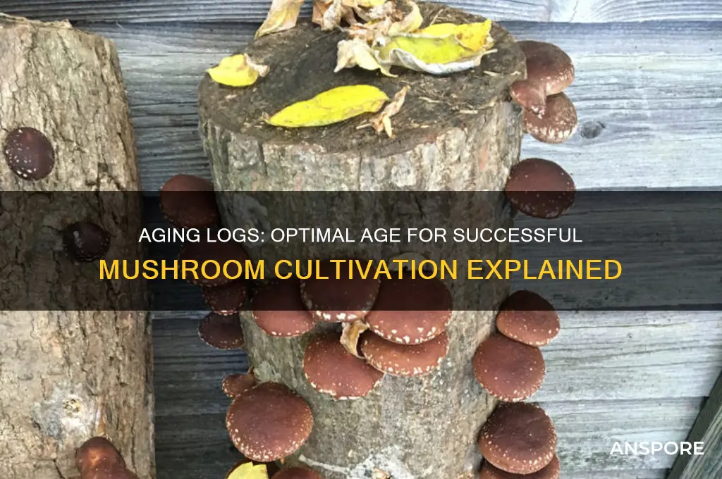 how old can a log be for growing mushrooms