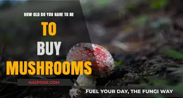 Legal Age for Purchasing Mushrooms: What You Need to Know