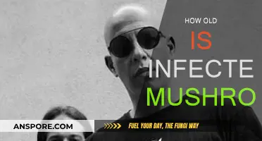 Infected Mushroom: Their Age and Musical Journey