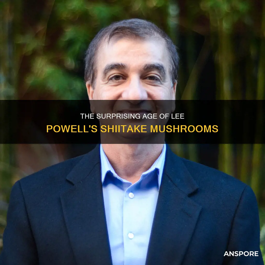 how old is lee powell oh shiitake mushrooms