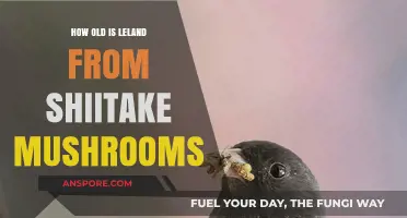 Unveiling Leland's Age: Shiitake Mushroom's Mystery