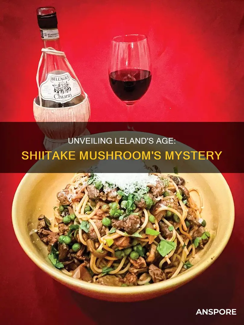 how old is leland from shiitake mushrooms