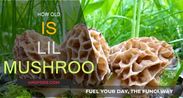 The Mystery of Lil Mushroom's Age