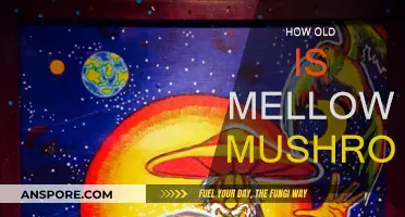 Mellow Mushroom's Age: A Long History of Pizza