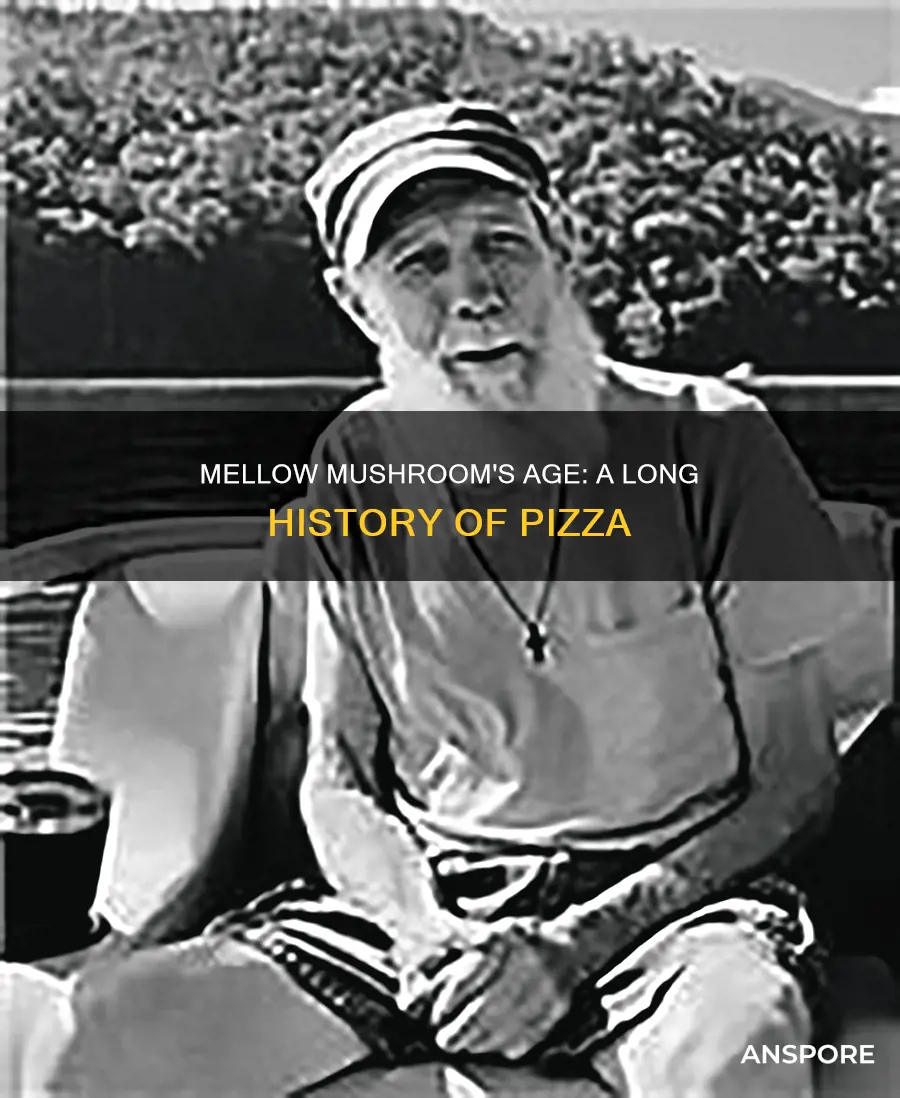 how old is mellow mushroom