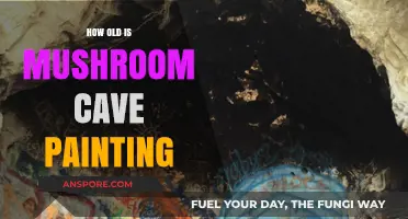 Ancient Art: Mushroom Cave Painting's Age