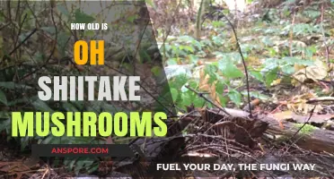 The Surprising Age of Oh Shiitake Mushrooms