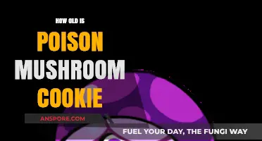 Unveiling the Age Mystery: Poison Mushroom Cookie's Origin Story