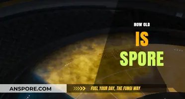 Exploring Spore's Age: A Journey Through Its Development Timeline