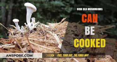 Reviving Old Mushrooms: Creative Cooking Tips for Aging Fungi