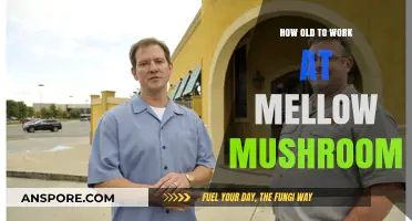 Working at Mellow Mushroom: Age Requirements and More