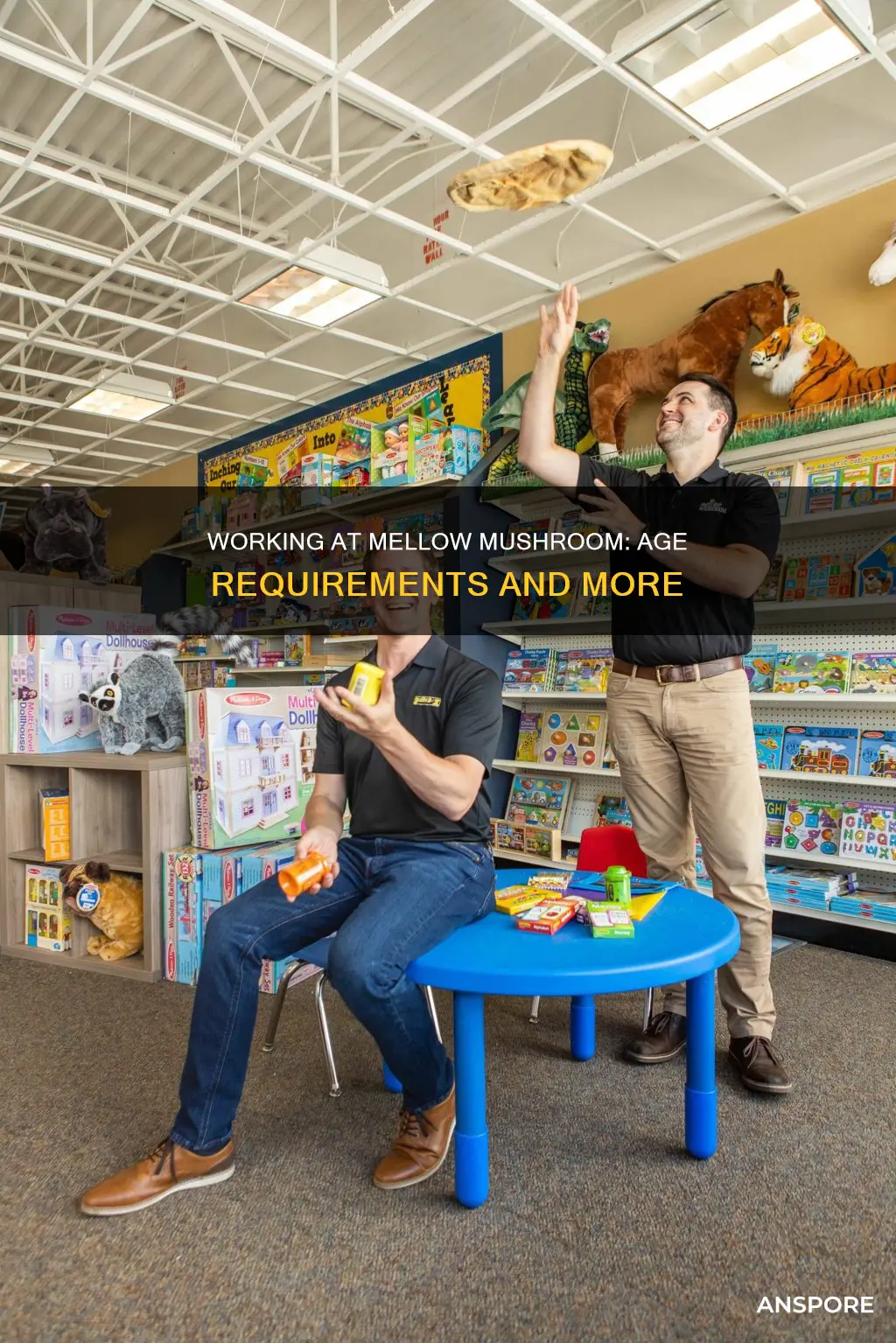 how old to work at mellow mushroom