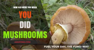Exploring Psychedelics: Age and First Mushroom Trip