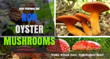 Mushroom Mystery: Poisonous Non-Oyster Varieties Revealed