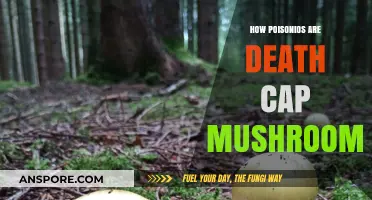 Death Cap Mushrooms: A Deadly Poisonous Threat