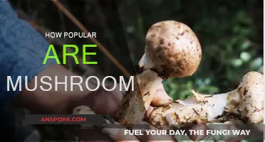 Mushrooms: A Surprising Global Food Sensation