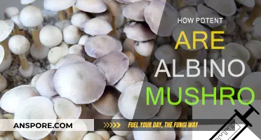 Albino Mushrooms: Potent Powerhouses of the Fungi Family
