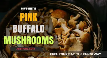 Exploring the Potency of Pink Buffalo Mushrooms